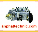 LỖI HƯ HEO DẦU (INJECTION PUMP) XE NÂNG HÀNG